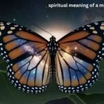 Spiritual Meaning Of A Monarch Butterfly