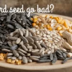 Can Bird Seed Go Bad? Understanding Storage, Shelf Life, and Signs of Spoilage