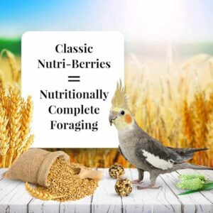 Nutri-Berries Classic Bird Food for Cockatiels – Non-GMO, Human-Grade Quality, 4 lb by Lafeber's