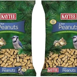 Kaytee In-Shell Peanuts for Squirrels & Wild Birds, 5 lb (2-Pack)