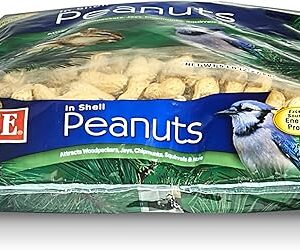 Kaytee In-Shell Peanuts for Squirrels & Wild Birds, 5 lb (2-Pack)