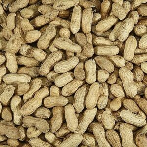 Kaytee In-Shell Peanuts for Squirrels & Wild Birds, 5 lb (2-Pack)