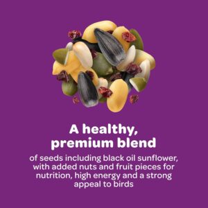 Kaytee Nut and Fruit Blend – Premium Wild Bird Food, Expertly Formulated for Vibrant Songbirds