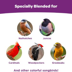 Kaytee Nut and Fruit Blend – Premium Wild Bird Food, Expertly Formulated for Vibrant Songbirds