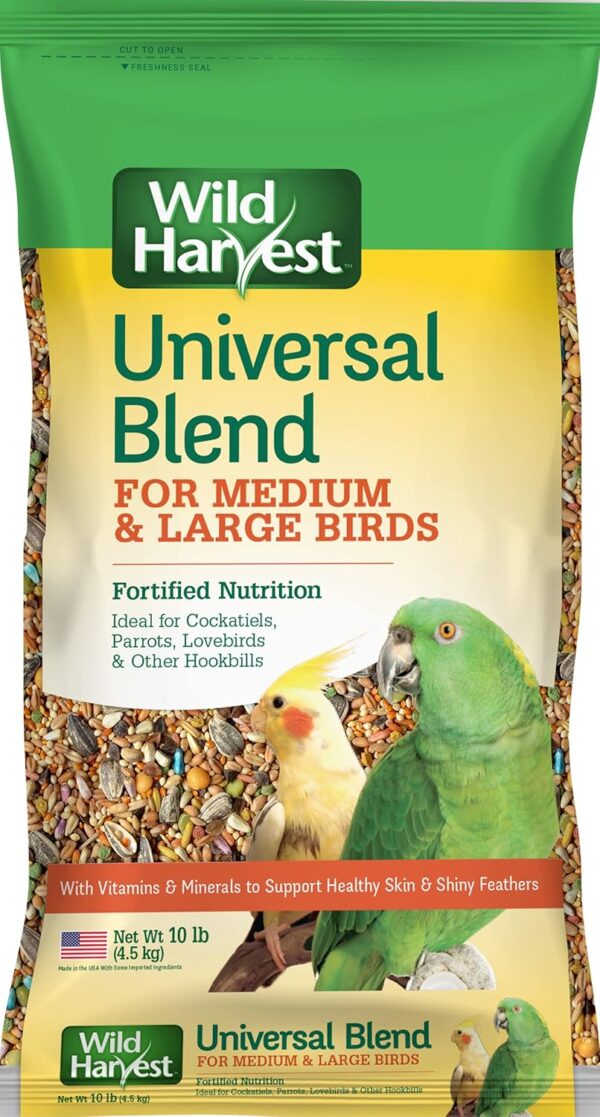 Kaytee Nut and Fruit Blend – Premium Wild Bird Food, Expertly Formulated for Vibrant Songbirds